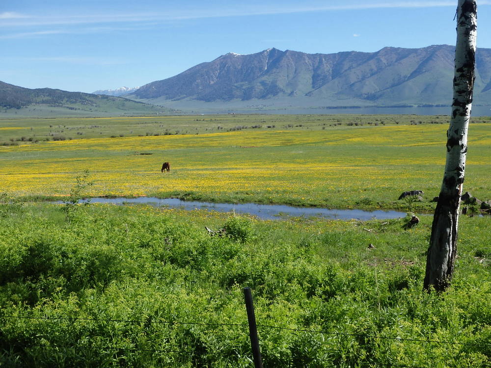 GDMBR: Beautiful Landscape.